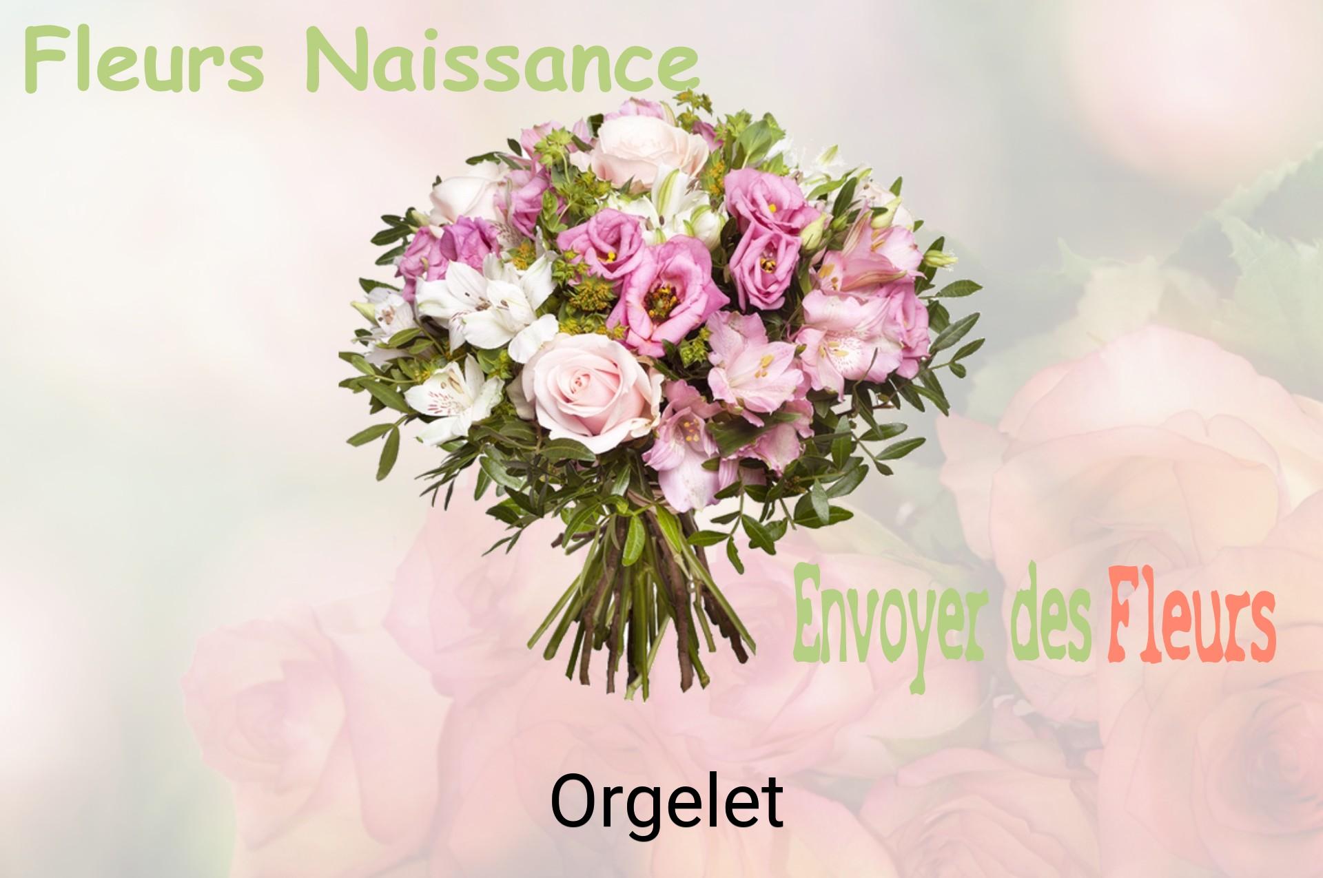 Bouquet de fleurs de naissance livré à Orgelet