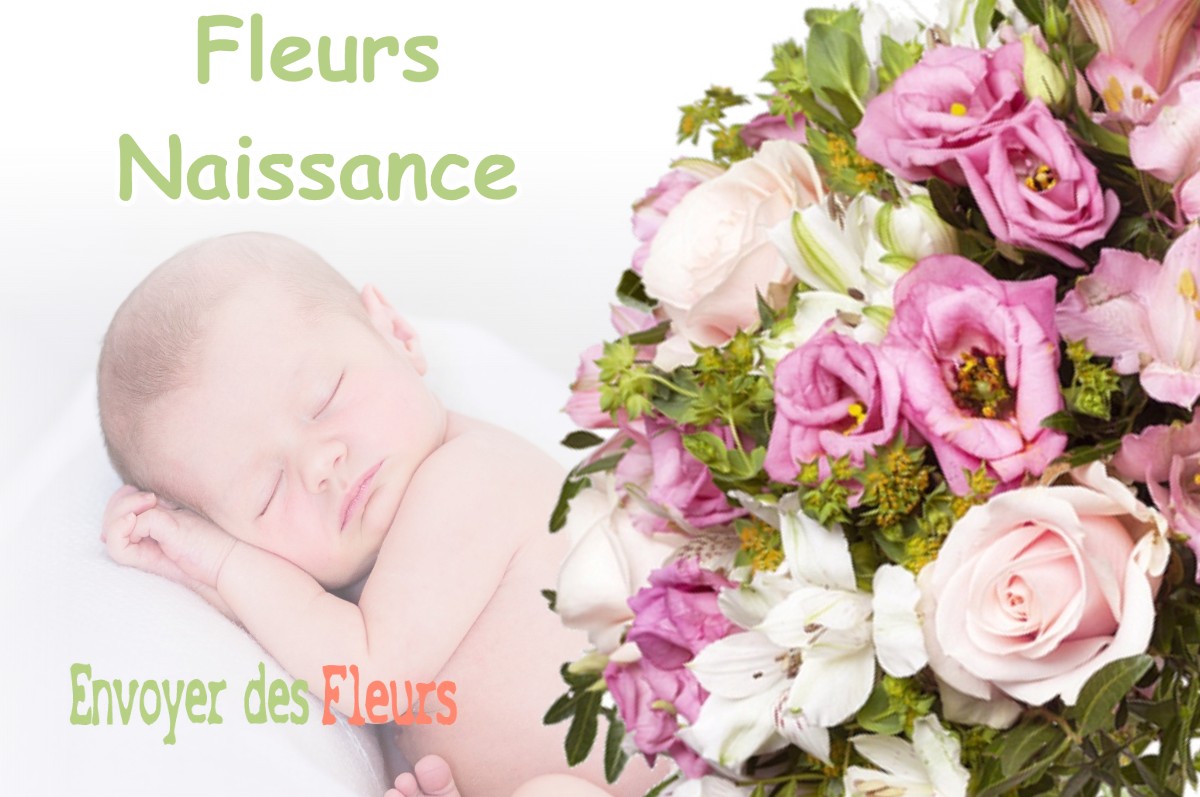 lIVRAISON FLEURS NAISSANCE à ORGELET